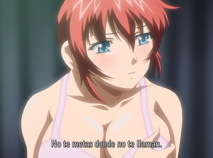 Ane to Boin (Animex)